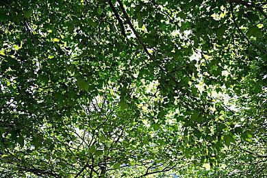 《我的青春恋爱物语果然有问题 完》游戏版4＆27推出